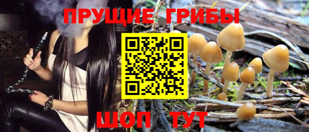 Сегежа  Псилоцибиновые грибы GOLDEN TEACHER  купить наркоту  Вход с VPN 