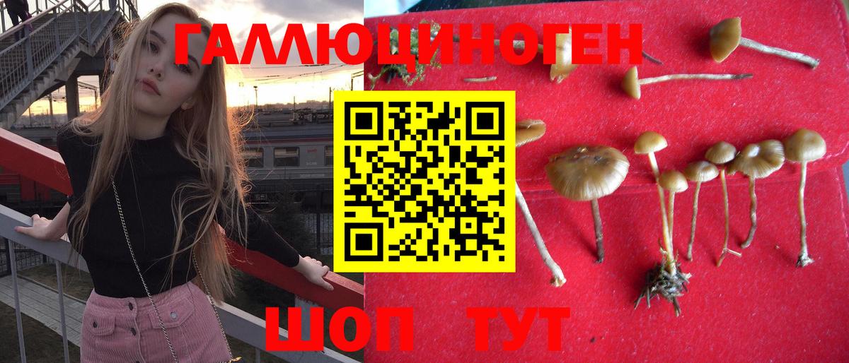 Псилоцибиновые грибы мицелий Сегежа
